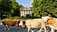 Grand Hotel Bellevue