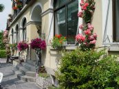 Hotel Camelia