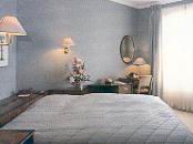 Hotel des Alpes