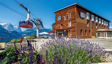 Hotel Viktoria