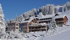 Hotel Alpina