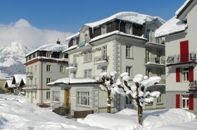 Hotel Alpina