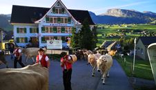 Hotel Friedegg