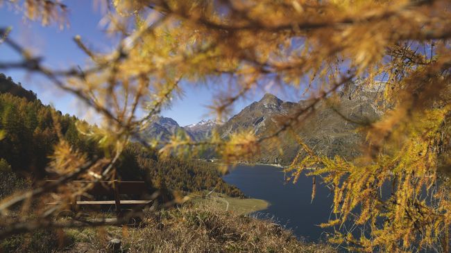 Hotel Chesa Rosatsch – image