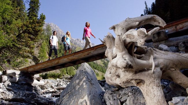 Hotel Chesa Rosatsch – image