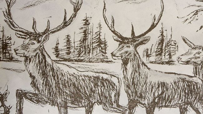 Hotel Crusch Alba – Bild