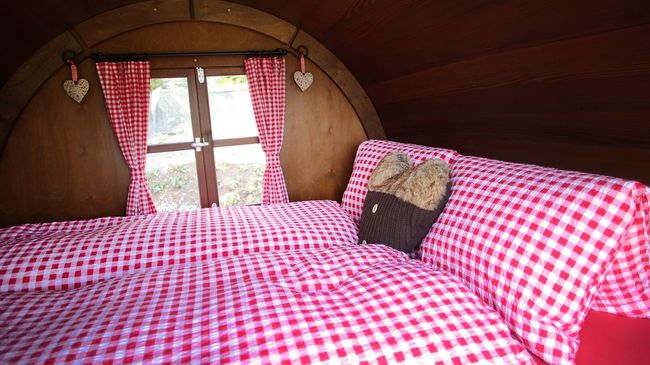 SCHLAF-FASS Riesling-Silvaner Maienfeld – Bild